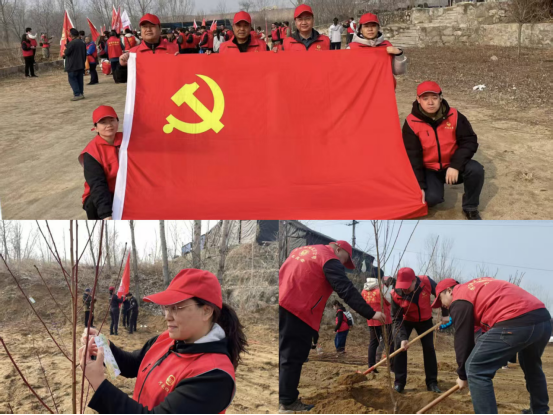 五分公司：學(xué)雷鋒植樹(shù)添綠踐初心