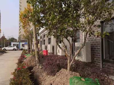 上海臨港地區(qū)雨水泵站提升改造工程 關鍵要素與技術解析